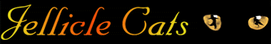 ../images/indylogo.gif